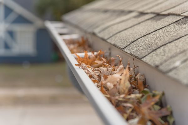 Leaf Barrier Installation in Killeen