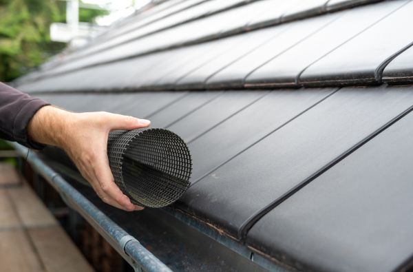 Gutter Mesh Installation in Killeen